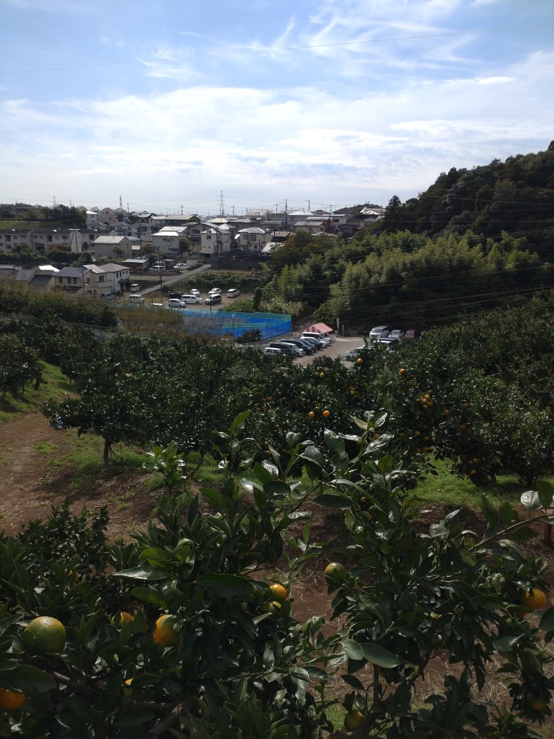 MR.SAUNAさんの天然温泉 満天の湯のサ活写真