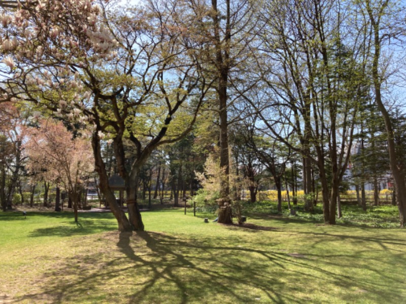 ishicoroさんの森のスパリゾート 北海道ホテルのサ活写真