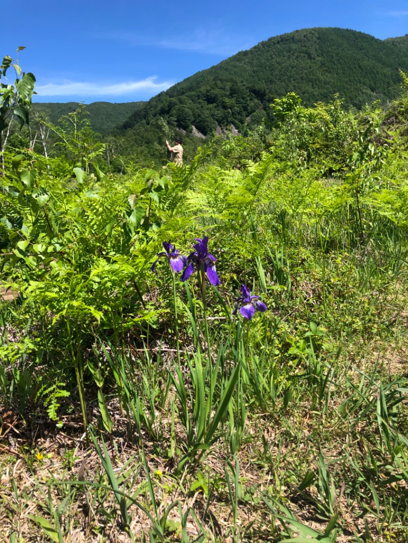 サウナースさんのひらゆの森のサ活写真