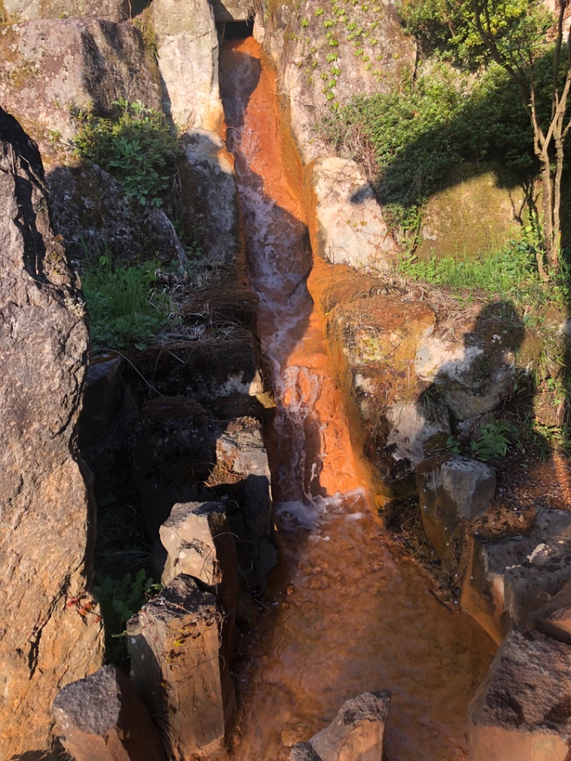 サウナースさんの巌立峡 ひめしゃがの湯のサ活写真