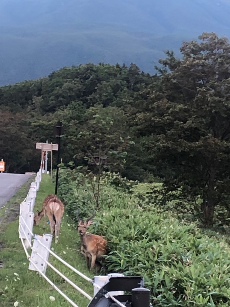 サウナースさんの湯宿だいいちのサ活写真