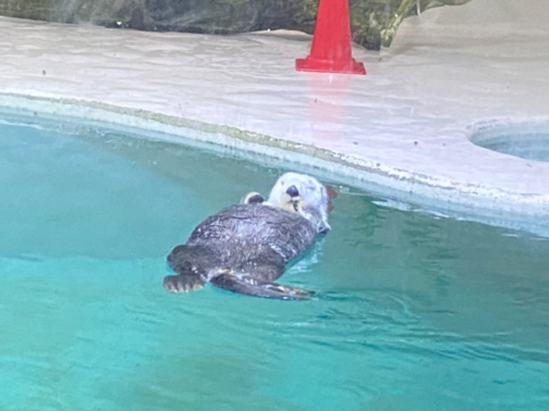 ととのL子さんの桃山の湯のサ活写真