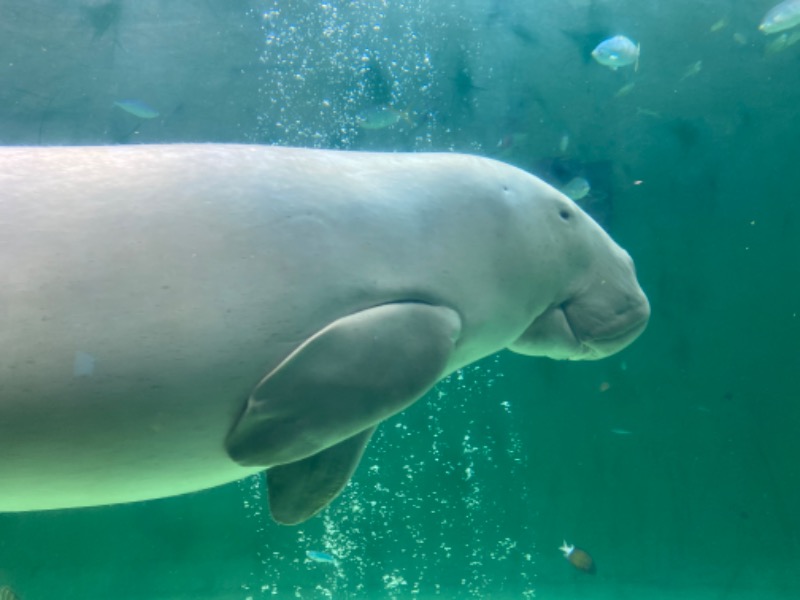 ととのL子さんの桃山の湯のサ活写真