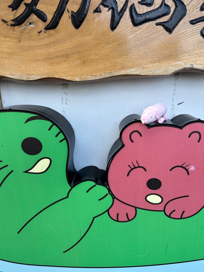 ニックさんの湯乃泉 東名厚木健康センターのサ活写真