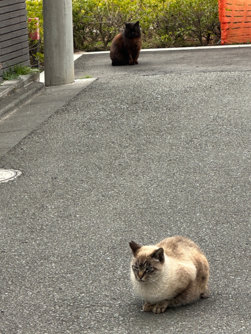 唐揚げの錬金術師さんの弁天湯のサ活写真