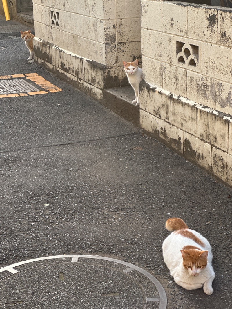 唐揚げの錬金術師さんの親松の湯のサ活写真