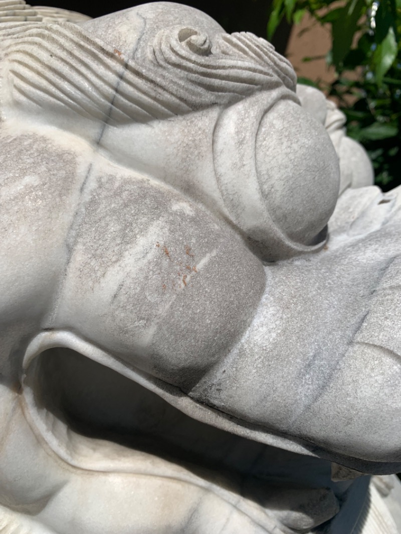 マイケルロングさんのなにわ健康ランド 湯〜トピアのサ活写真