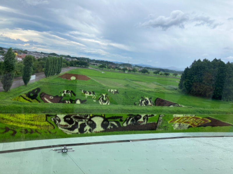 moe🍀さんの割烹温泉 観音湯のサ活写真