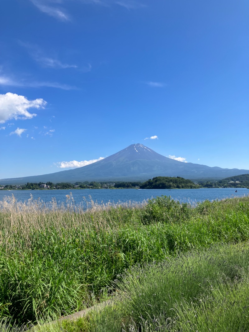 ぽーん？さんのフォレストスパ (フジプレミアムリゾート)のサ活写真