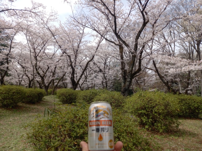 しゃんさんの天然温泉 満天の湯のサ活写真