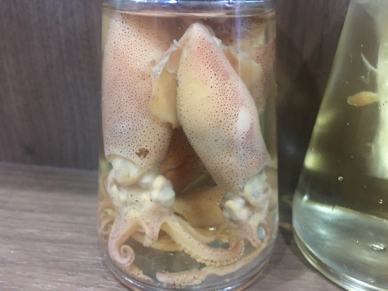 くまっく(若)さんの湯乃泉 草加健康センターのサ活写真