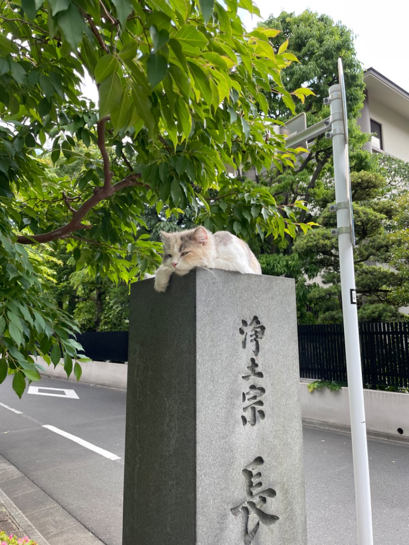 サウナイサムさんの辰巳湯のサ活写真