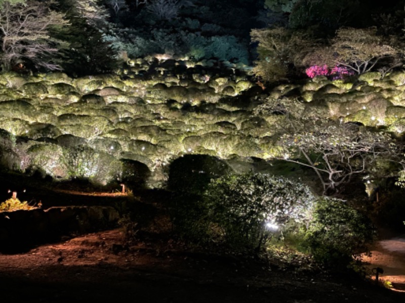 サウナイサムさんの御船山楽園ホテル  らかんの湯のサ活写真