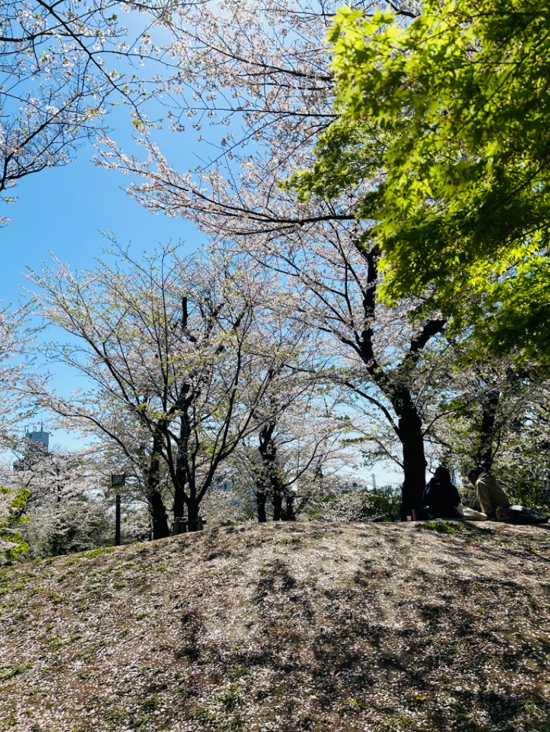 玄米さんのCOCOFURO かが浴場のサ活写真