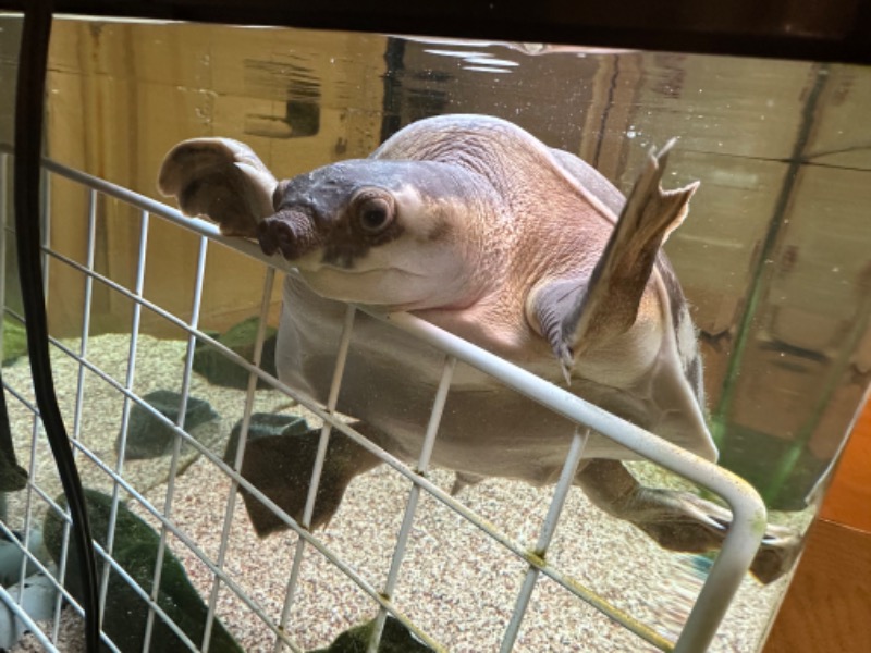 ゆっきー🐼さんの松本湯のサ活写真