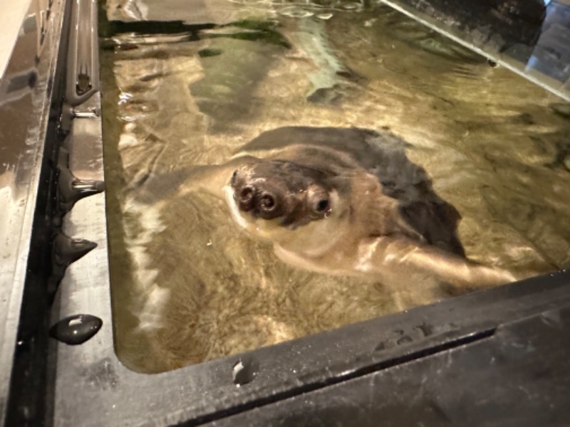 ゆっきー🐼さんの松本湯のサ活写真