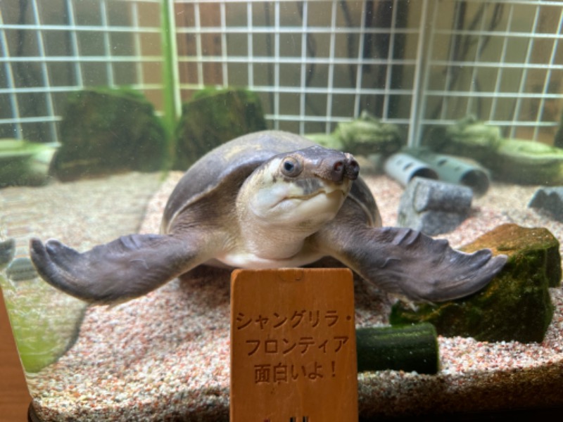 ゆっきー🐼さんの松本湯のサ活写真