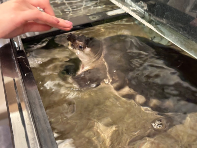 ゆっきー🐼さんの松本湯のサ活写真