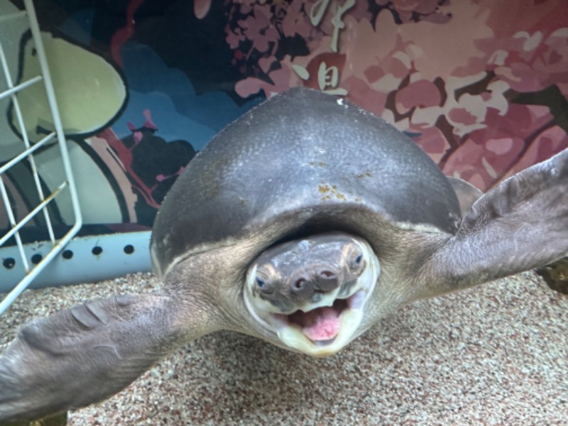 ゆっきー🐼さんの松本湯のサ活写真