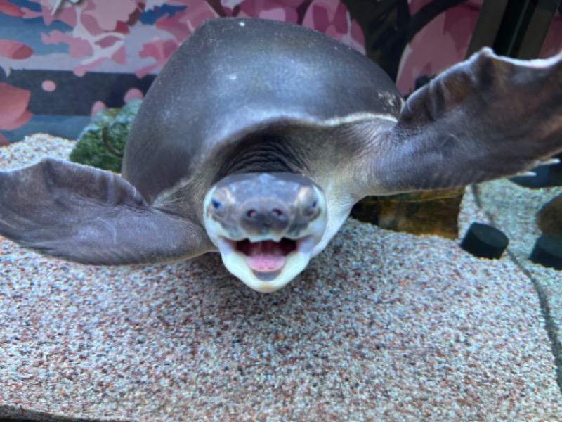 ゆっきー🐼さんの松本湯のサ活写真