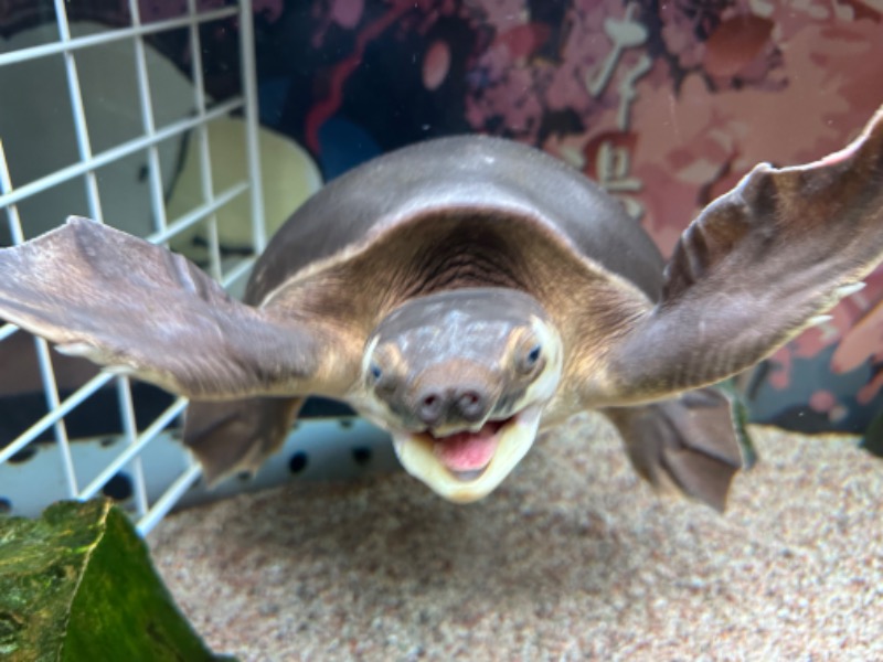 ゆっきー🐼さんの松本湯のサ活写真