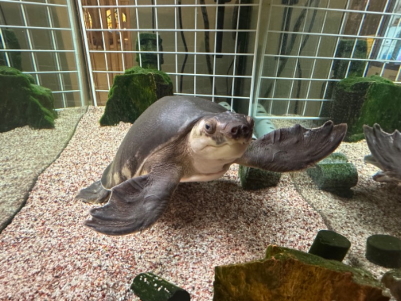 ゆっきー🐼さんの松本湯のサ活写真