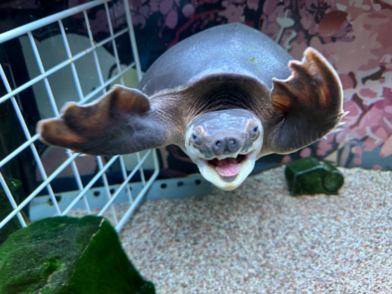 ゆっきー🐼さんの松本湯のサ活写真