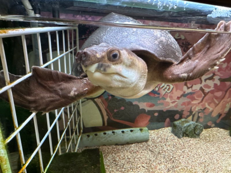 ゆっきー🐼さんの松本湯のサ活写真