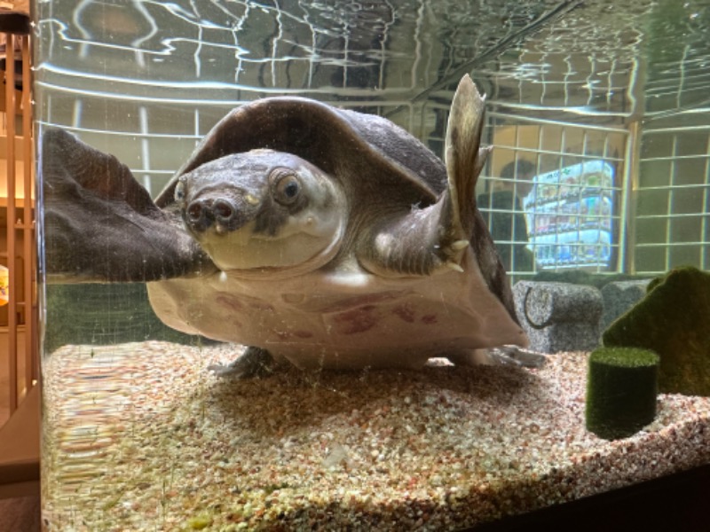 ゆっきー🐼さんの松本湯のサ活写真