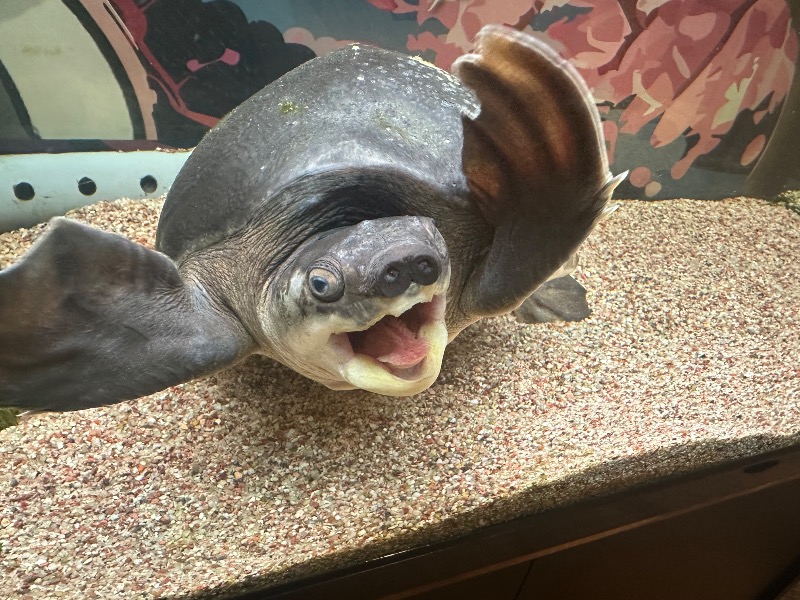 ゆっきー🐼さんの松本湯のサ活写真