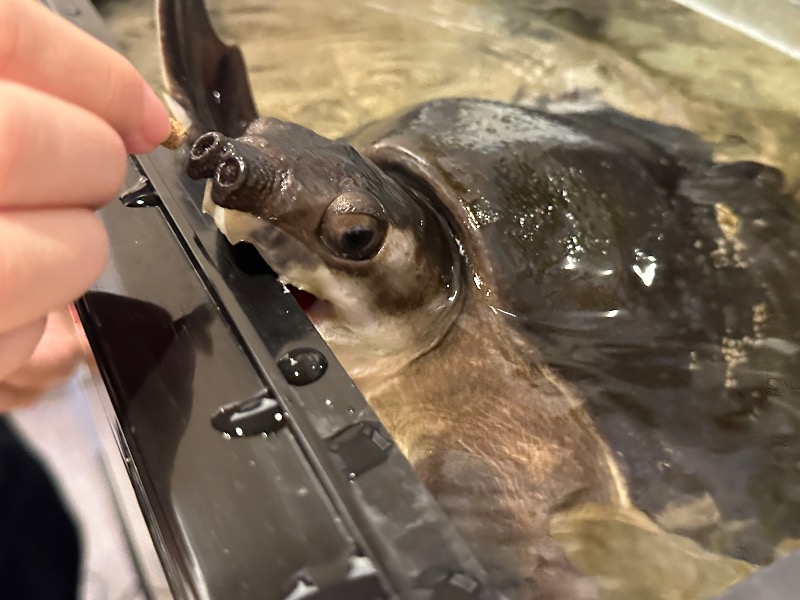 ゆっきー🐼さんの松本湯のサ活写真