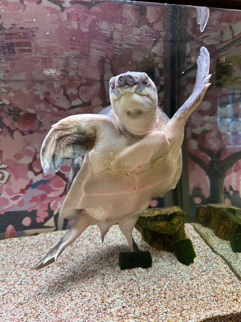 ゆっきー🐼さんの松本湯のサ活写真