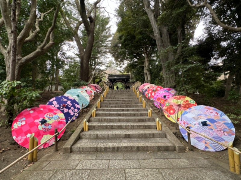 ゆっきー🐼さんのよみうりランド眺望温泉 花景の湯のサ活写真