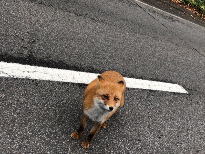 サ牛さんの吹上温泉保養センター 白銀荘のサ活写真