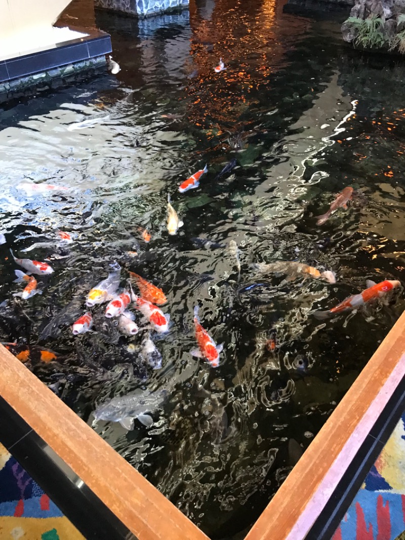 ゆきち♨️さんの仙台秋保温泉 ホテル瑞鳳のサ活写真