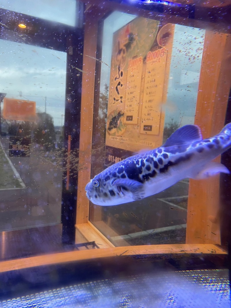 焼き鳥つくねパンさんのココルクの湯のサ活写真