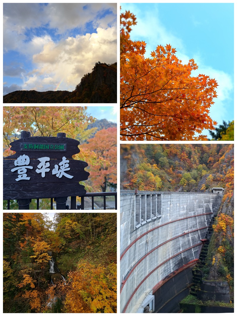 焼き鳥つくねパンさんの湖畔の宿支笏湖 丸駒温泉旅館のサ活写真