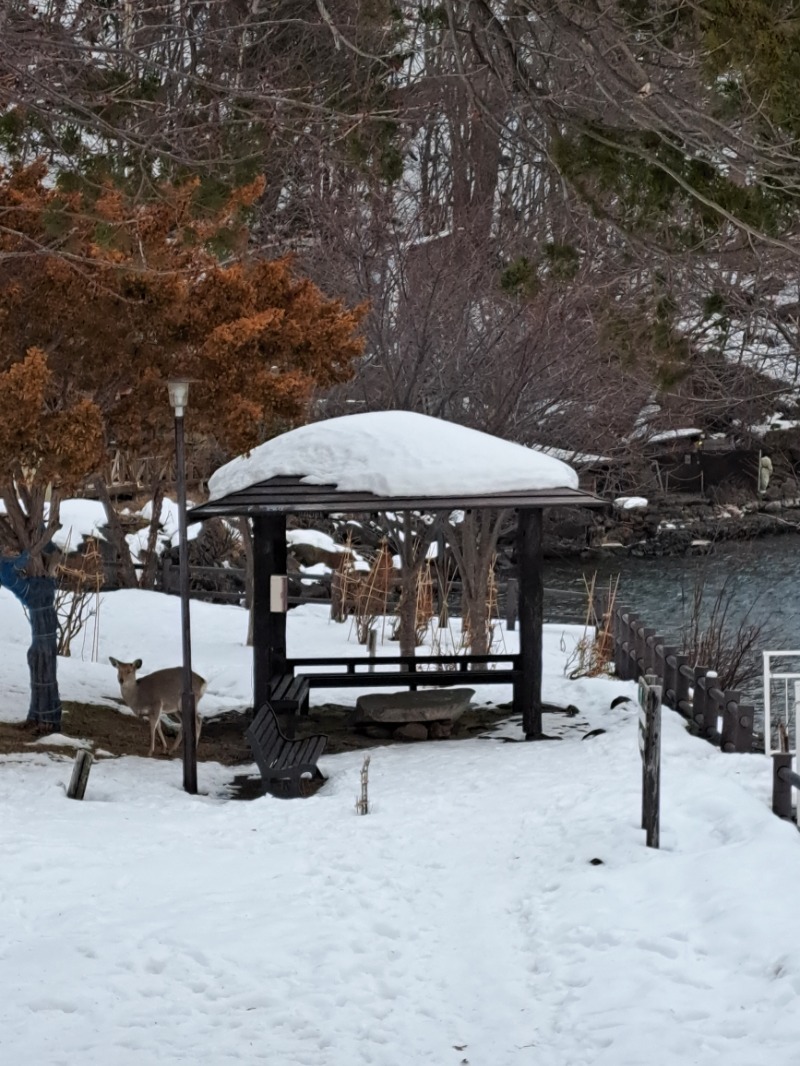 焼き鳥つくねパンさんの湖畔の宿支笏湖 丸駒温泉旅館のサ活写真