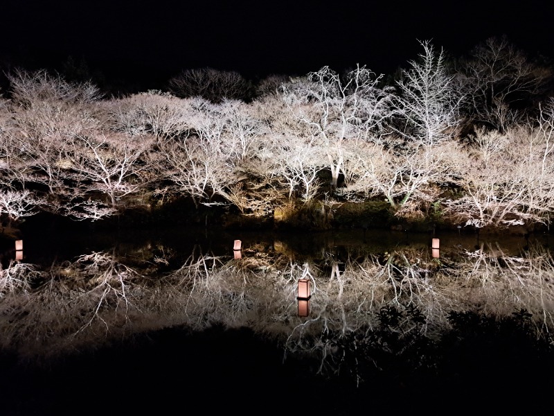 焼き鳥つくねパンさんの御船山楽園ホテル  らかんの湯のサ活写真