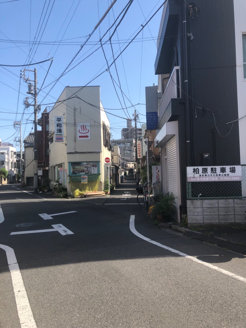 すーたさんの平和湯 人工温泉のサ活写真