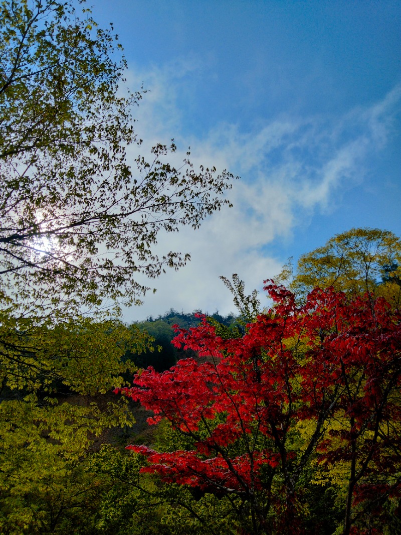 musouさんの飛騨高山 自家源泉の湯 臥龍の郷のサ活写真