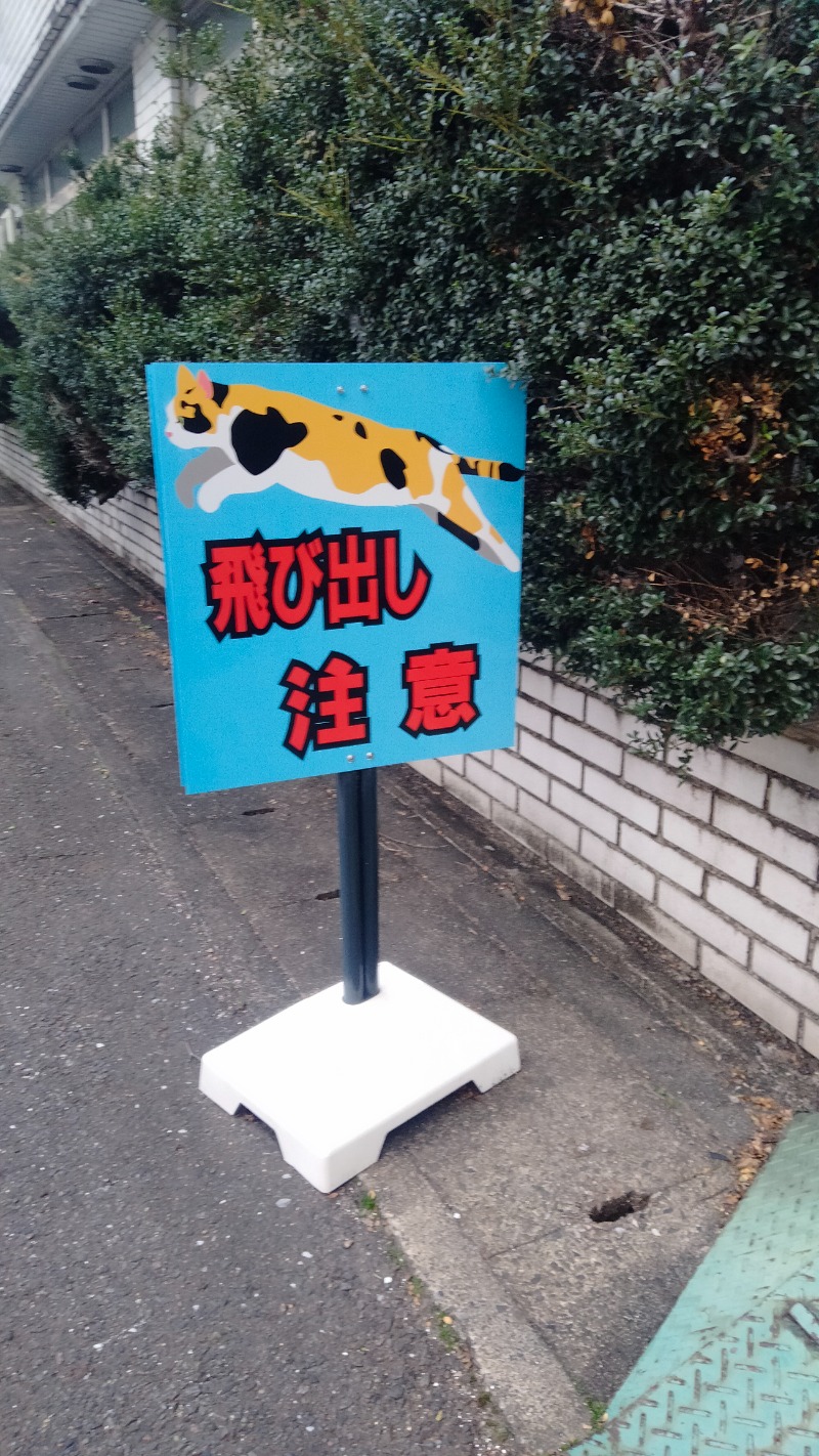 musou👺さんの新岐阜サウナのサ活写真