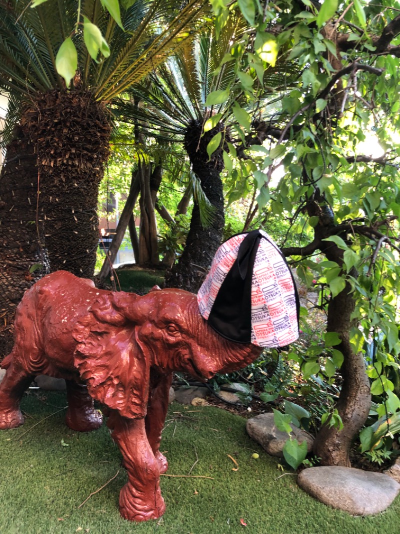 ジョースターさんのキャナルリゾートのサ活写真