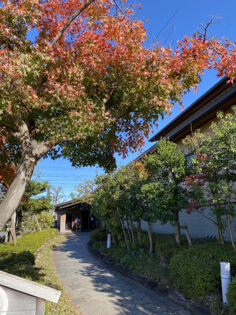 湯るりーまん@湯ouTuber♨さんの野天風呂 湯の郷のサ活写真