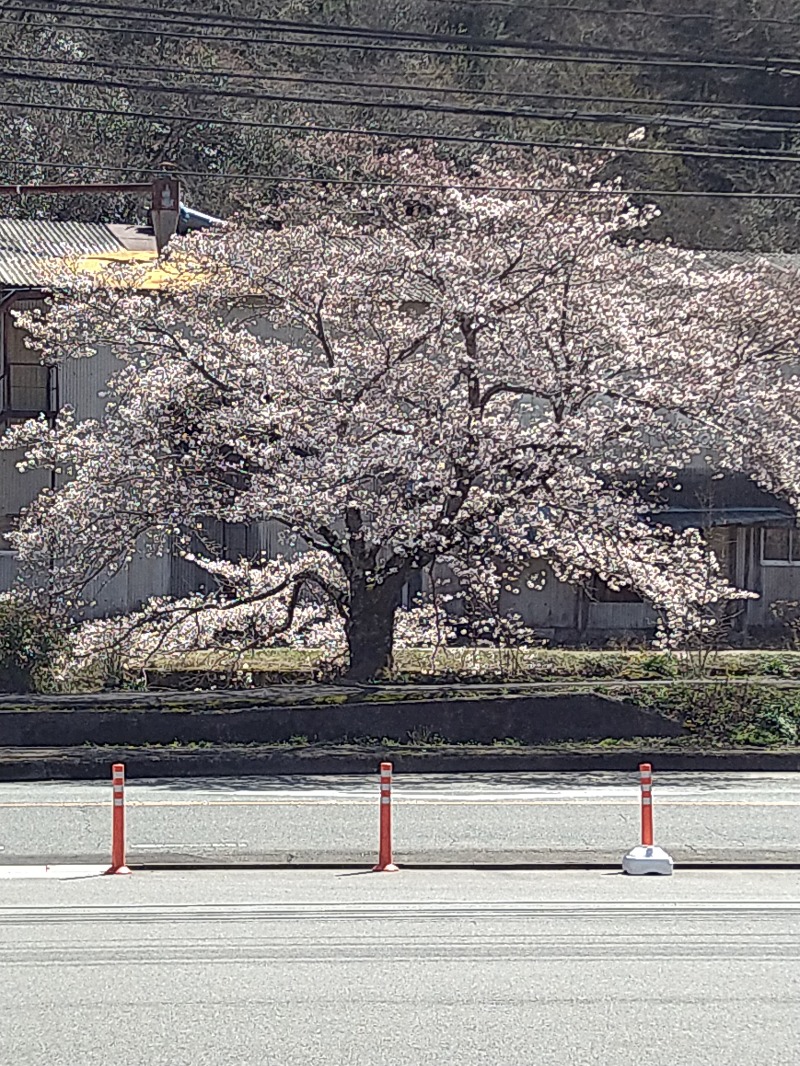 かねおさんの新見千屋温泉いぶきの里のサ活写真