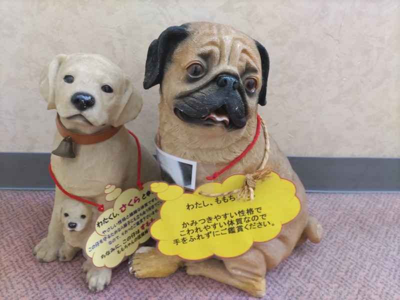 カニすきさんのあずま健康センターのサ活写真