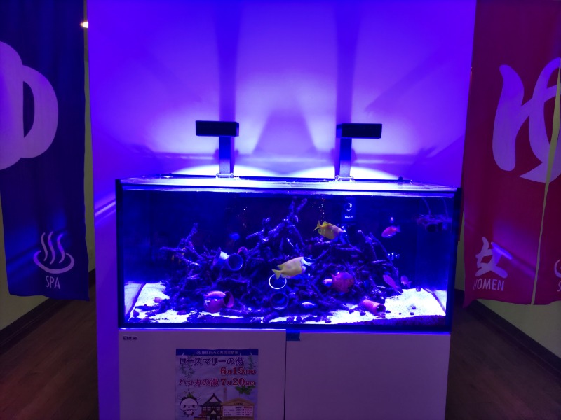 カニすきさんのゆ～ポッポのサ活写真