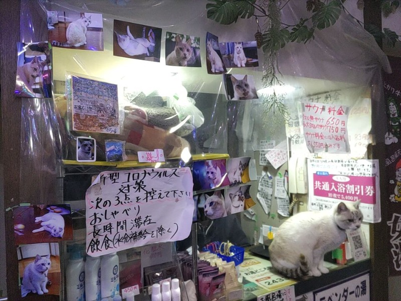 カニすきさんのお湯どころ野川のサ活写真