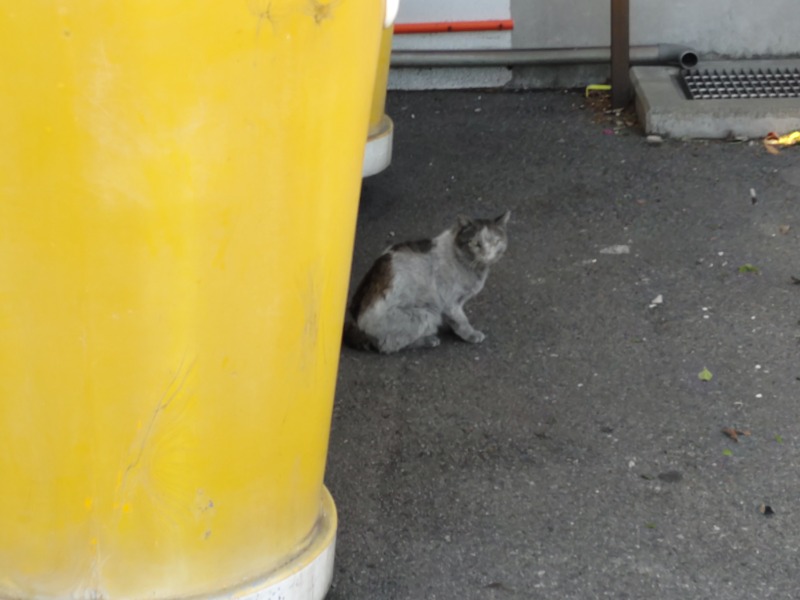 カニすきさんの久慈健康ランド 古墳ノゆのサ活写真