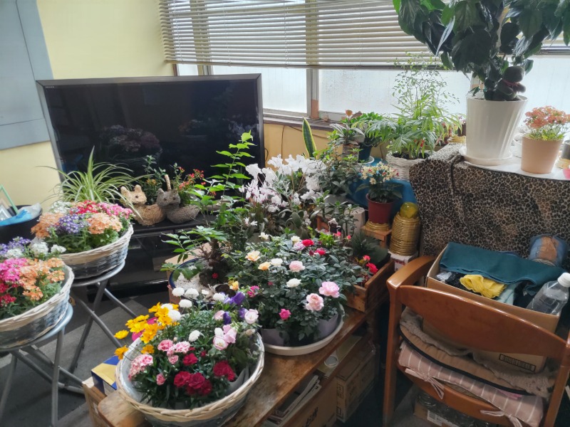 カニすきさんのいわつき温泉ジャンボのサ活写真